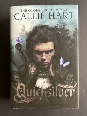 Quicksilver Hardcover | UK Print | Original Kingfisher Cover